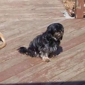 Meet your Posher, Myra